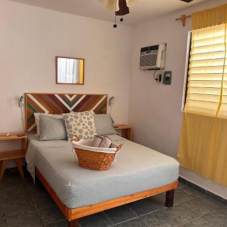 Casa De Hojas Daire Playa del Carmen Dış mekan fotoğraf