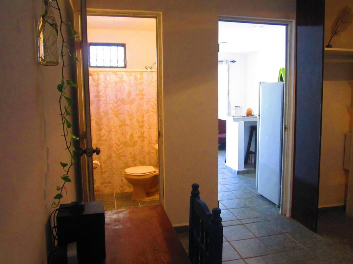 Casa De Hojas Daire Playa del Carmen Dış mekan fotoğraf