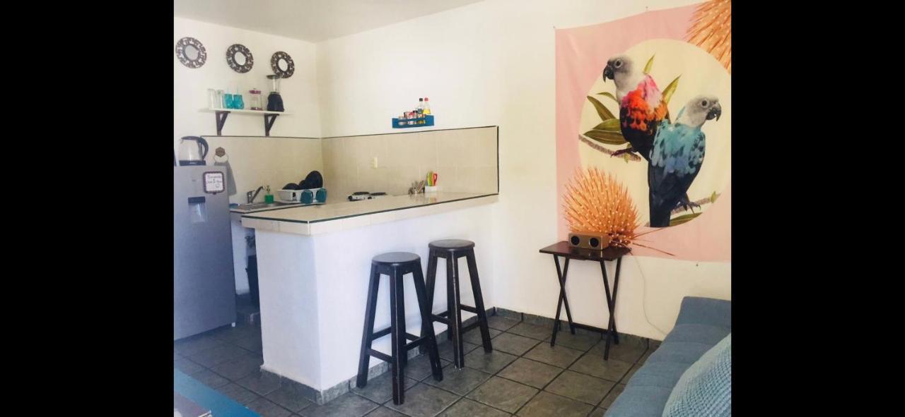 Casa De Hojas Daire Playa del Carmen Dış mekan fotoğraf