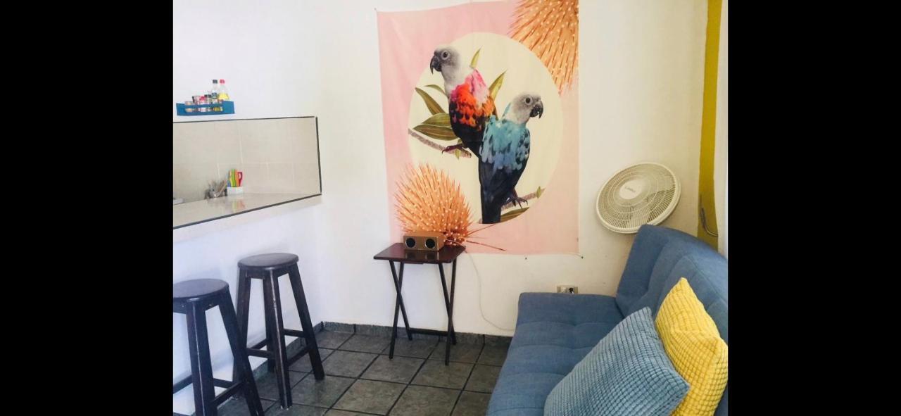 Casa De Hojas Daire Playa del Carmen Dış mekan fotoğraf